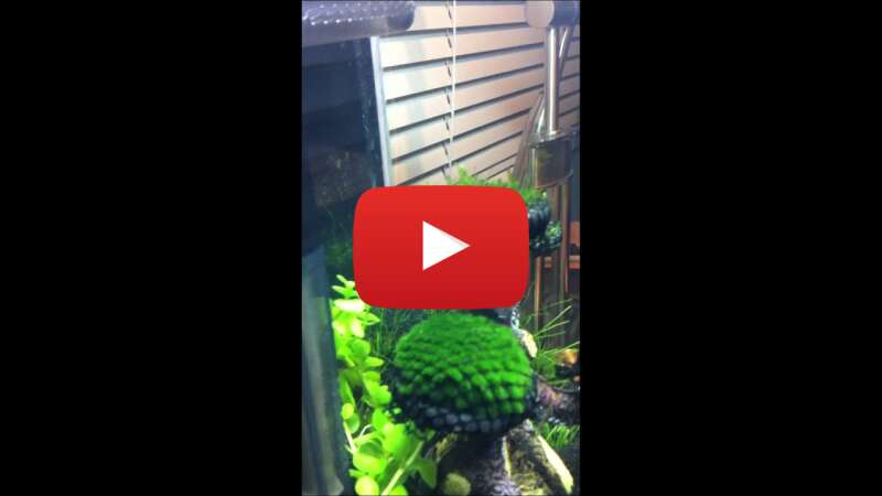 Video ncQXTQj06YE abspielen