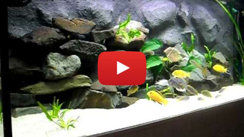 Video nqtvZLwbvo4 abspielen