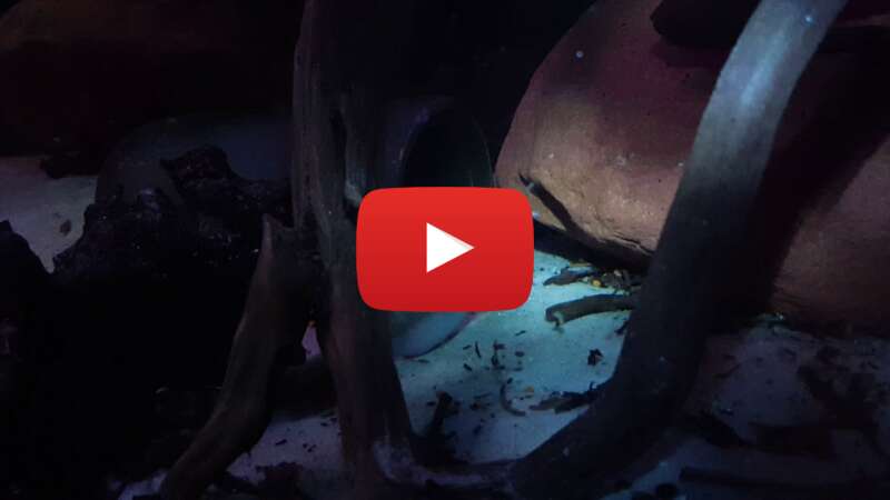 Video nv7g-tFT670 abspielen