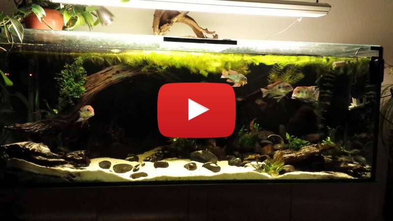 Video o4AtKQ1WOJ0 abspielen