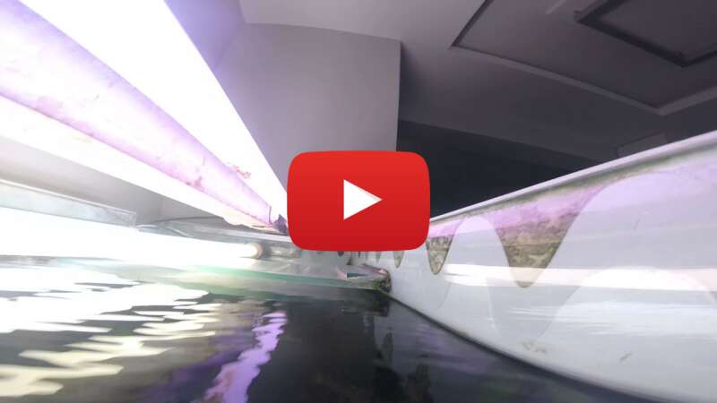 Video oe-B4dl2Tiw abspielen