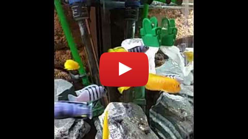 Video p2yrBdXdVYo abspielen