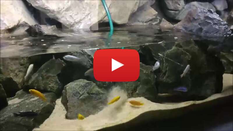 Video poM5mk_z5Qk abspielen