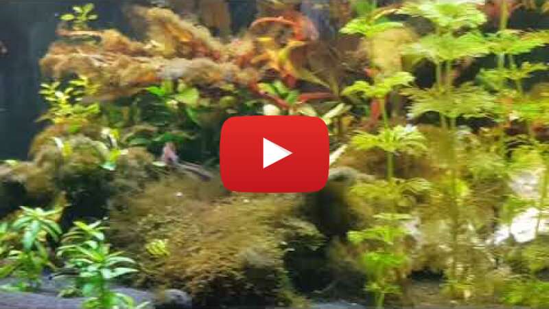 Video q3R8uqXHyZQ abspielen