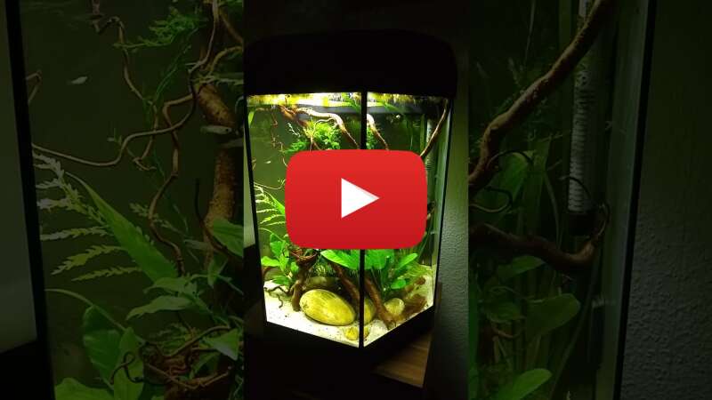 Video q9RD3rimb-0 abspielen