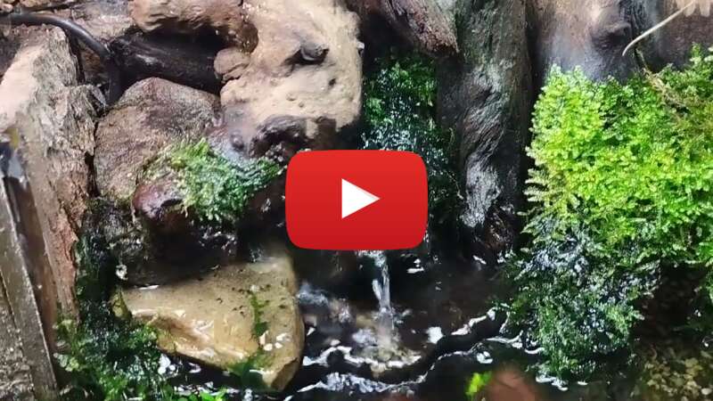 Video qM0lNM-zBjI abspielen