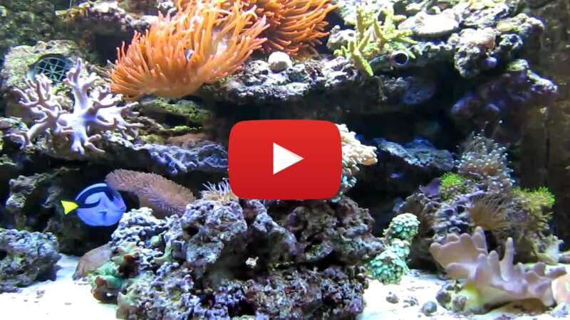 Video qlXqdIzp6f4 abspielen