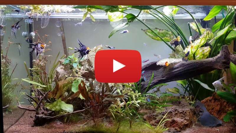 Video r2rmgSAYZLo abspielen