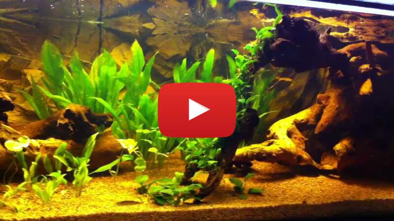 Video rAxf7Ljmpyo abspielen