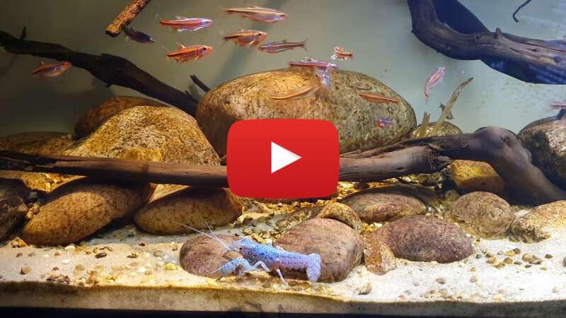 Video rTwHCXfTCmQ abspielen