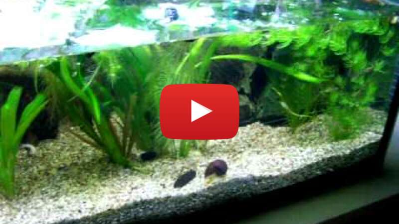 Video rrdQnUZ62Qg abspielen