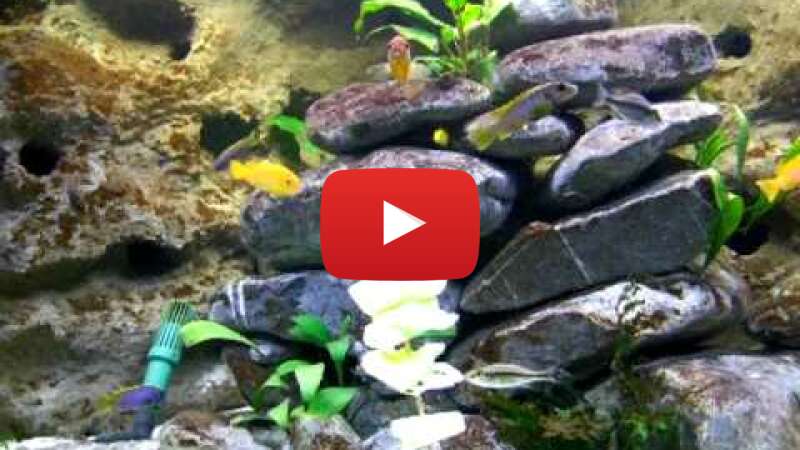 Video rtBBEwbqnfQ abspielen