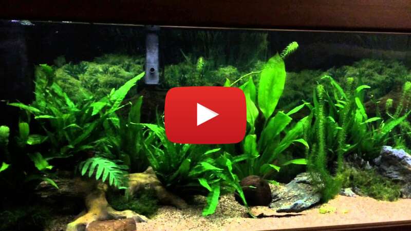 Video sAX4bIY90MI abspielen