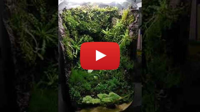 Video sJa_QObLdSU abspielen