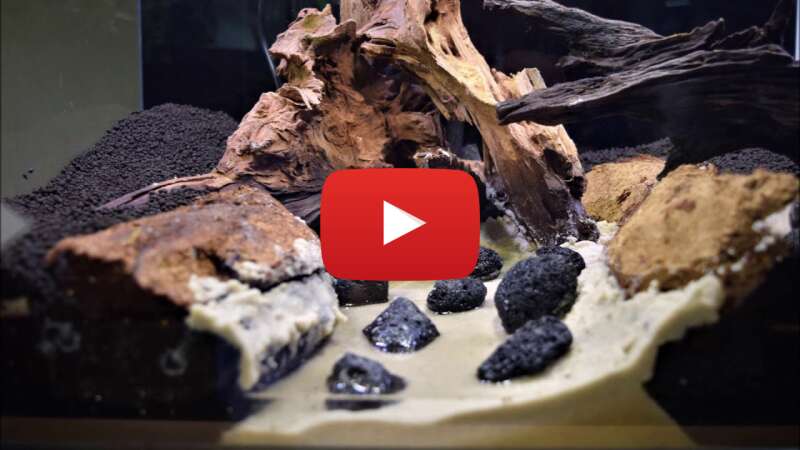 Video sotgtNkTZxY abspielen