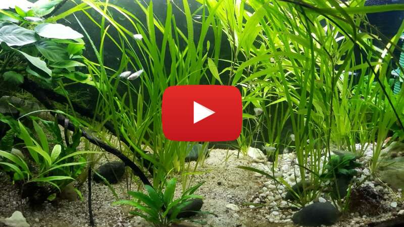 Video t2-1xIe2UV4 abspielen