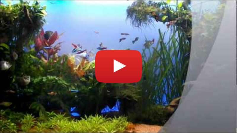 Video t9zbVAdPE34 abspielen