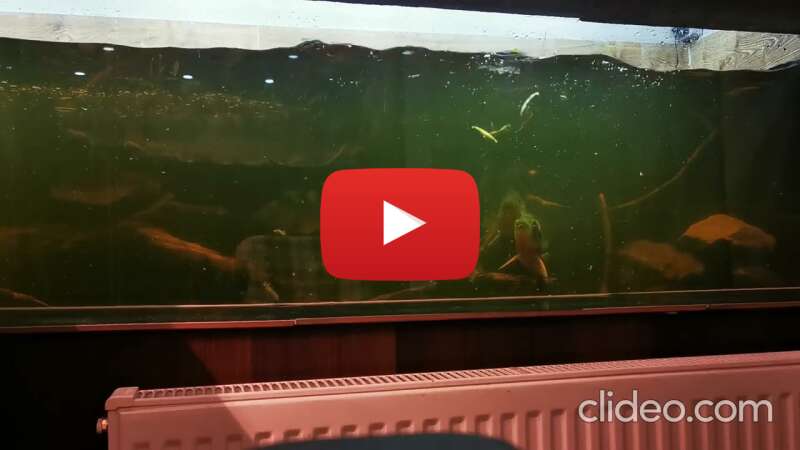 Video tUtz3_HmVE8 abspielen