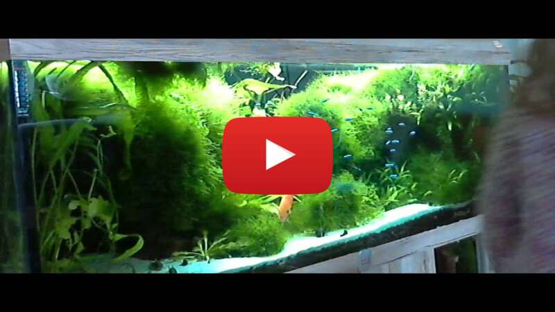 Video tZZQopw9ufQ abspielen