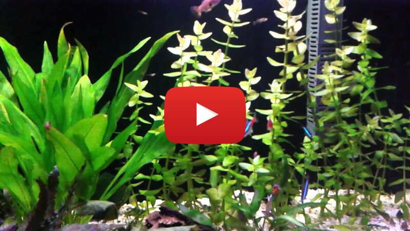 Video tezfuChHW3c abspielen