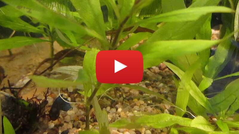 Video ts2tYhbdsAc abspielen