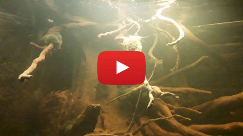 Video u0S-zaaU5xk abspielen