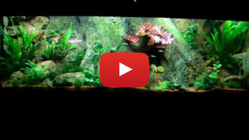 Video uP7FEGb4OoY abspielen