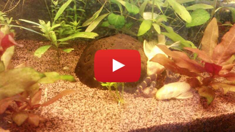 Video u_JkCzwFjLo abspielen