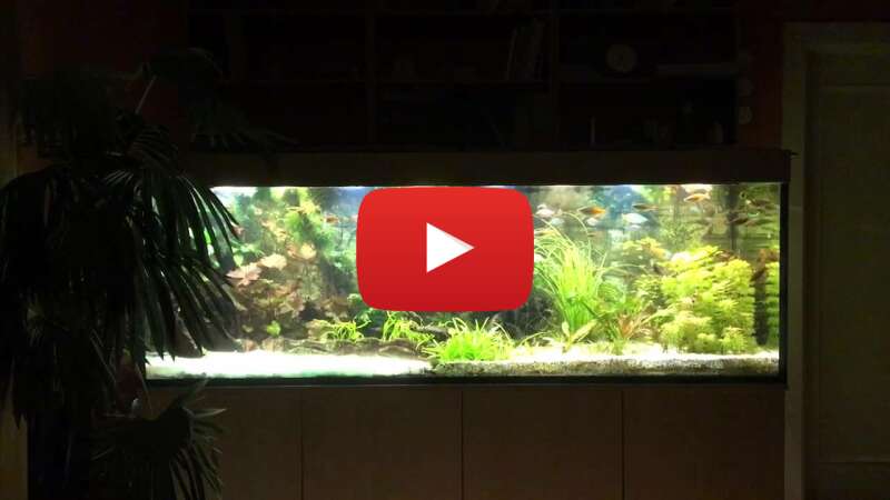 Video ufQ66rziEvc abspielen