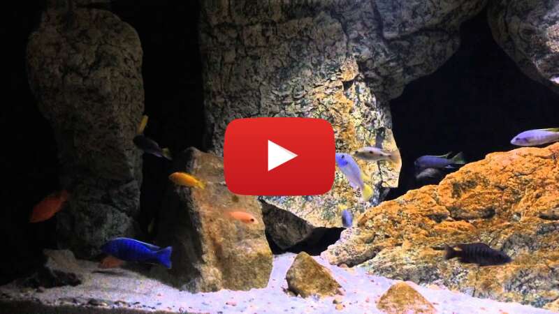 Video ug5ONg1Cyr8 abspielen