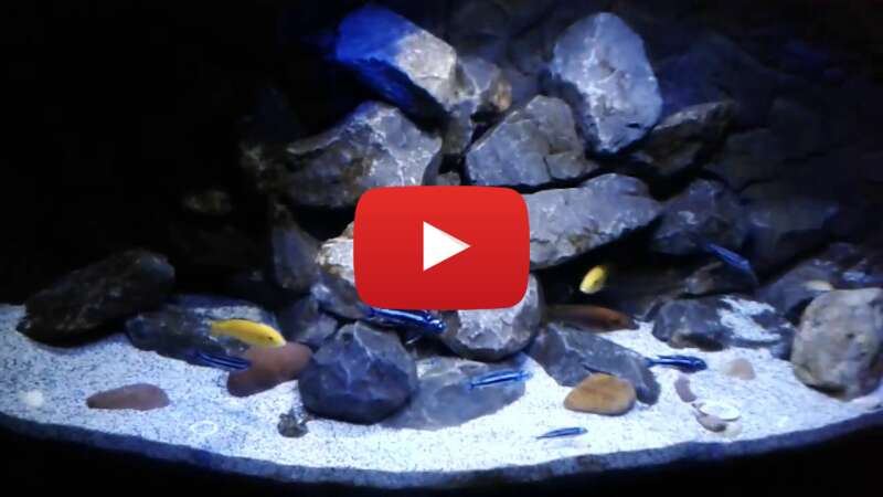 Video uq70FK9peqQ abspielen