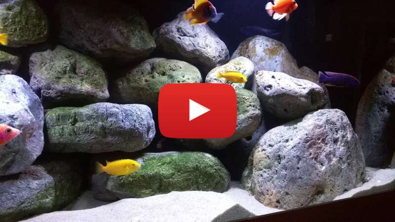 Video uuuSroOh6tI abspielen