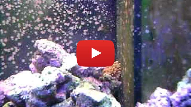 Video v8EaW7WFUlg abspielen