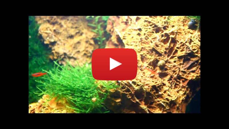 Video v9Bs4NdNNQA abspielen