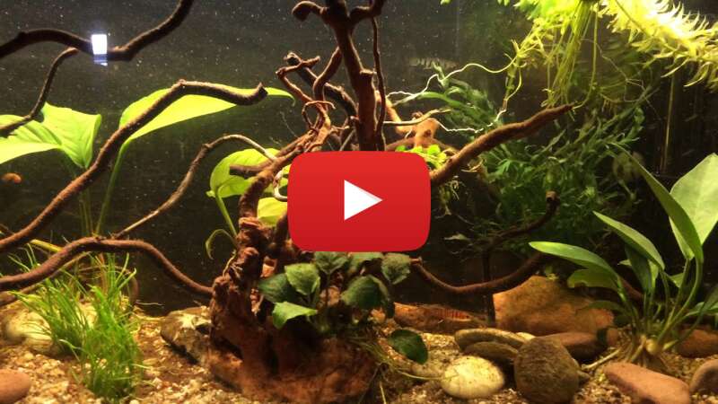 Video vGOnQG9L2BY abspielen