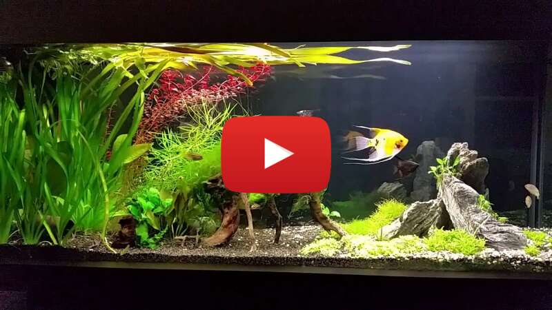 Video vazlqx1GGHs abspielen