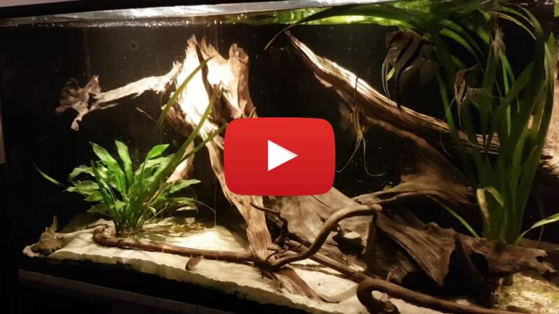 Video vqRj5wavnZQ abspielen