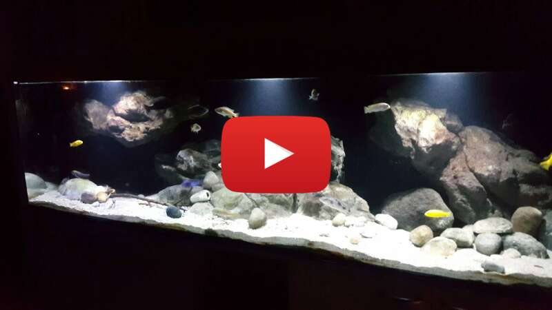 Video vshnOuuqV24 abspielen