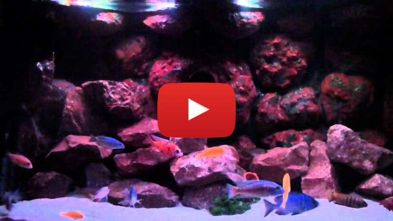 Video vwqakAR6mTE abspielen