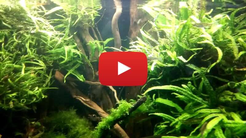 Video vzQZogrEcMA abspielen