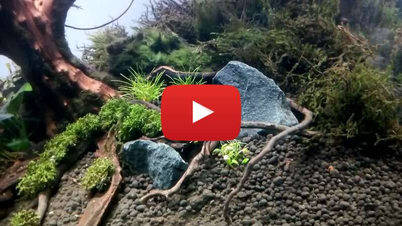 Video wKSU3aqYfAM abspielen