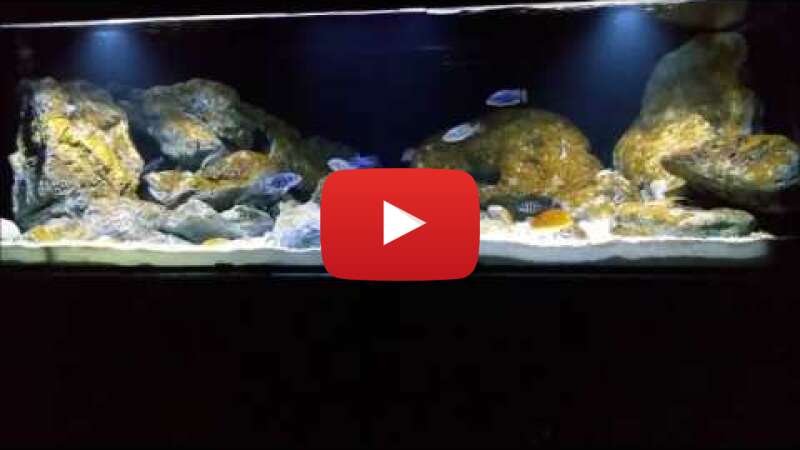 Video wgF6AH3eMfM abspielen