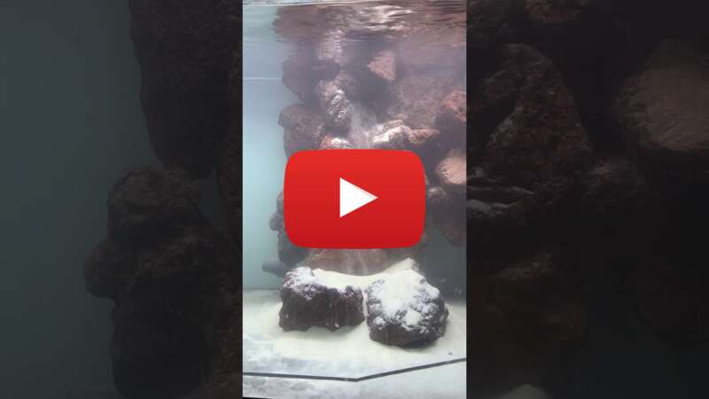 Video x96gBWtAxKk abspielen