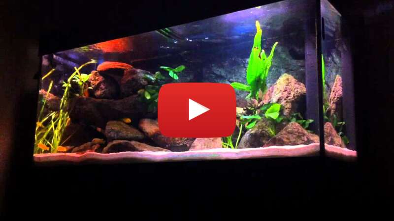 Video xFukeq0l_m4 abspielen