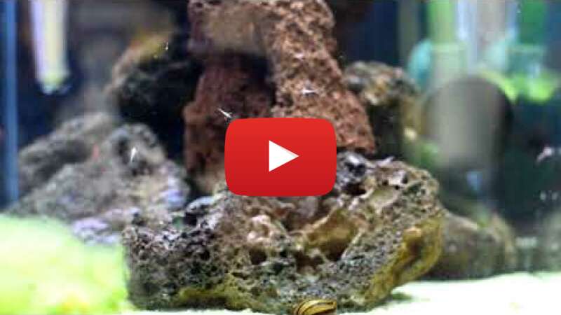 Video xNM01VsWeCU abspielen