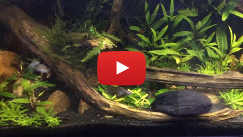 Video xXZy1qYrLZ4 abspielen