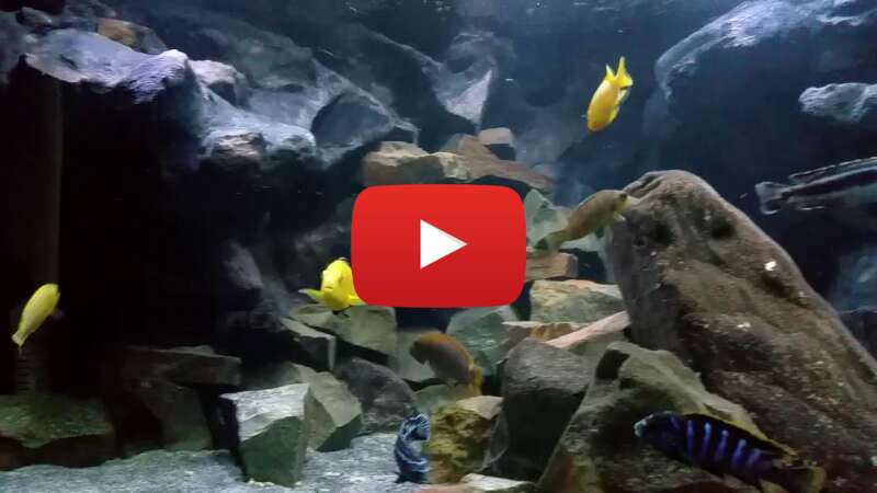 Video xZoFa2p5zTQ abspielen