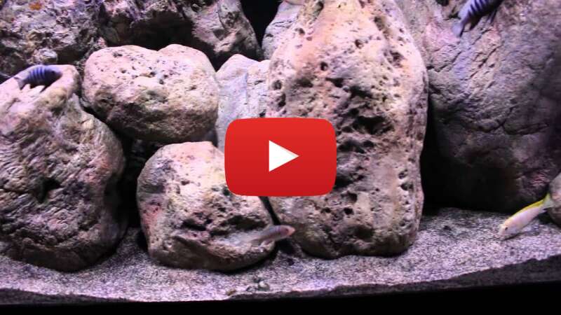 Video xywk8ehbpw8 abspielen