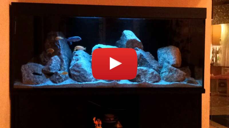 Video xzQFJ8bzgk0 abspielen