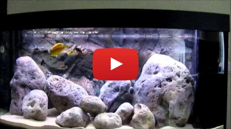 Video y0jGf0jzEAo abspielen